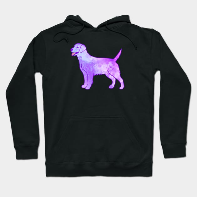 Galaxy Dog Hoodie by Kelly Louise Art